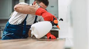 Real Estate Pest Inspections in Moncks Corner, SC